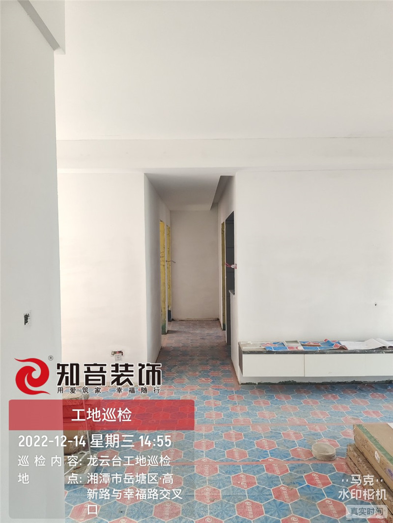 大汉龙云台115平施工现场