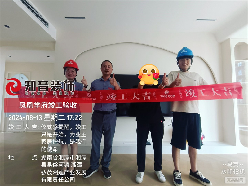 凤凰学府113平在施工地