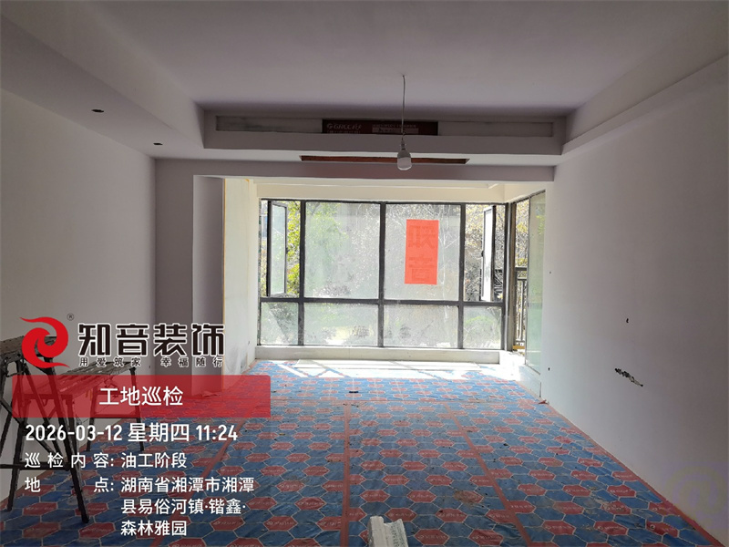 森林雅园 面积116平在施工工地